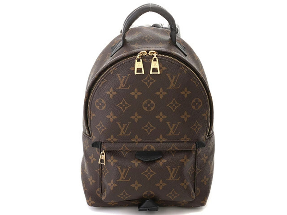 Louis Vuitton Palm Springs Backpack Monogram